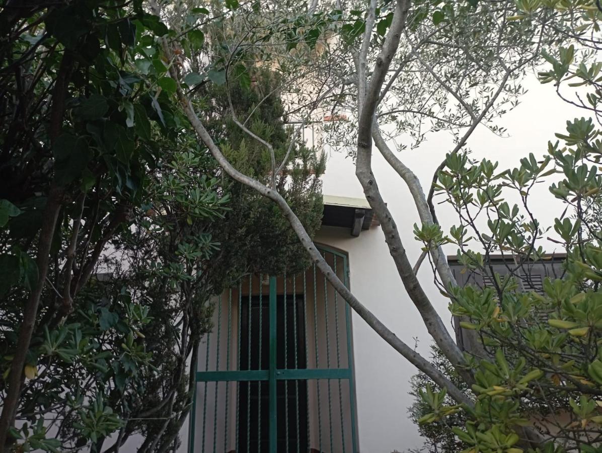 올비아 Domus Garden B&B 외부 사진