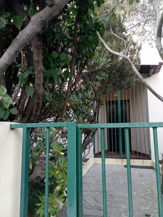 올비아 Domus Garden B&B 외부 사진