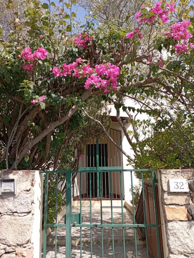 올비아 Domus Garden B&B 외부 사진