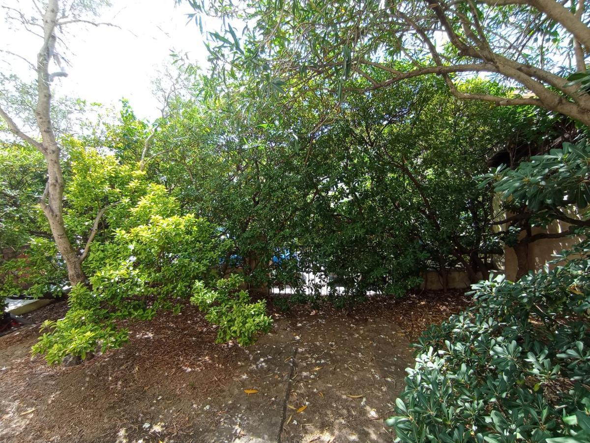 올비아 Domus Garden B&B 외부 사진